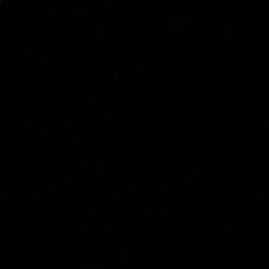 Meet your Posher, Jaden